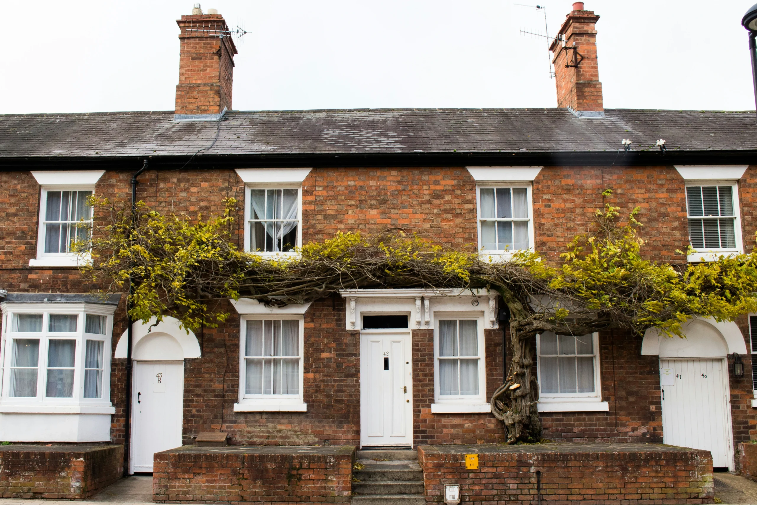 A Complete Guide to Selling a Tenanted Property Quickly